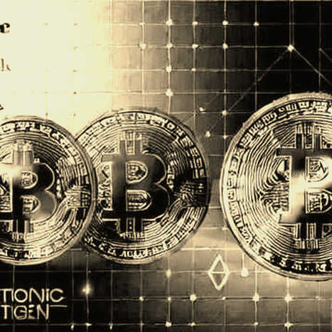 ETF QUANG MODULE LYTE: TÍN HIỆU HẠ TẦNG MÀ GIỚI ĐẦU TƯ BLOCKCHAIN VIỆT NAM ĐANG BỎ LỠ ETF QUANG MODULE LYTE: TÍN HIỆU HẠ TẦNG MÀ GIỚI ĐẦU TƯ BLOCKCHAIN VIỆT NAM ĐANG BỎ LỠ